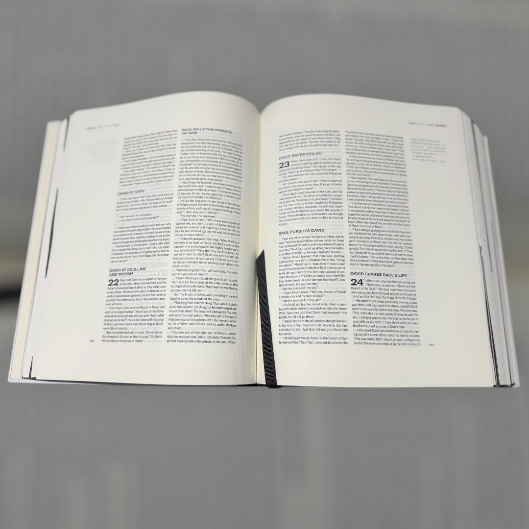 Joshua Vides x Good Publishing Company Bible